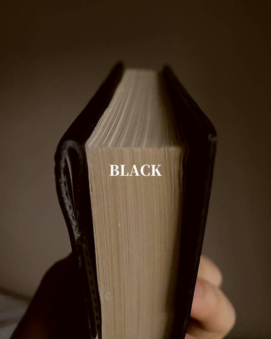 TOCHIGI LEATHER BOOKCOVER size 文庫本 BLACK